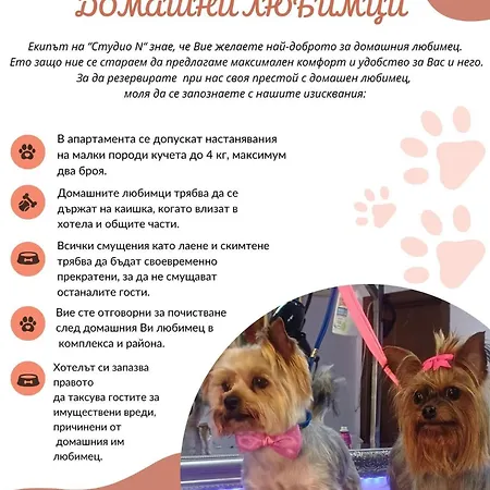 Apartment N Primorsko