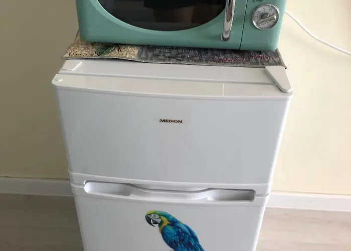 N * プリモルスコ